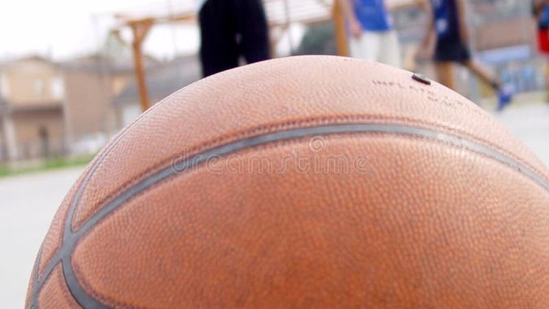 边坡绿化养护验收标准：关键要点与实施步骤**