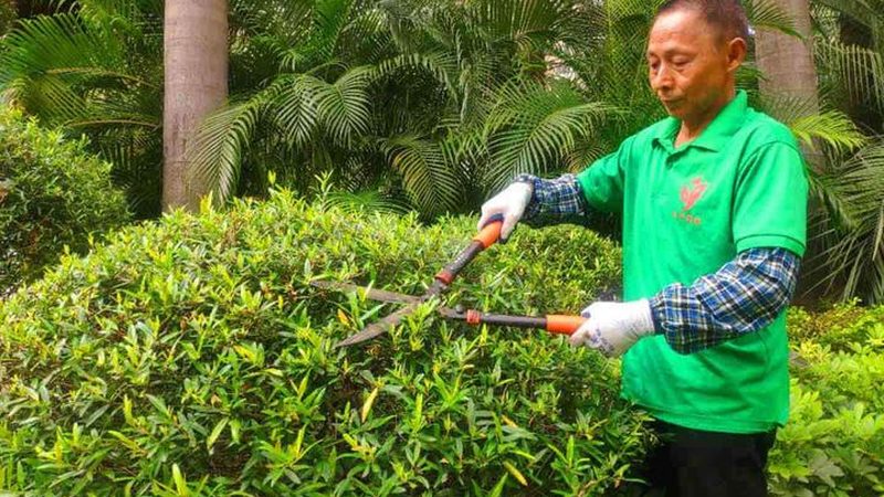 个人如何迈向绿化施工资质之路**